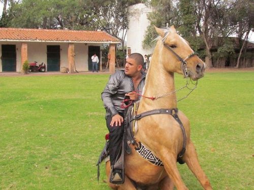 el komander horse