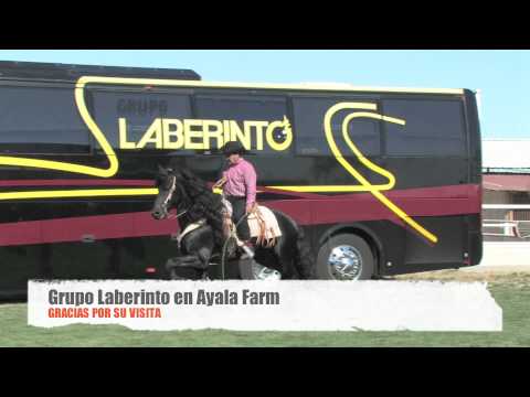 laberinto horse
