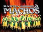 banda-machos